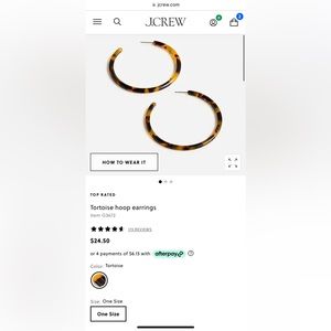 Tortoise Hoop Earrings